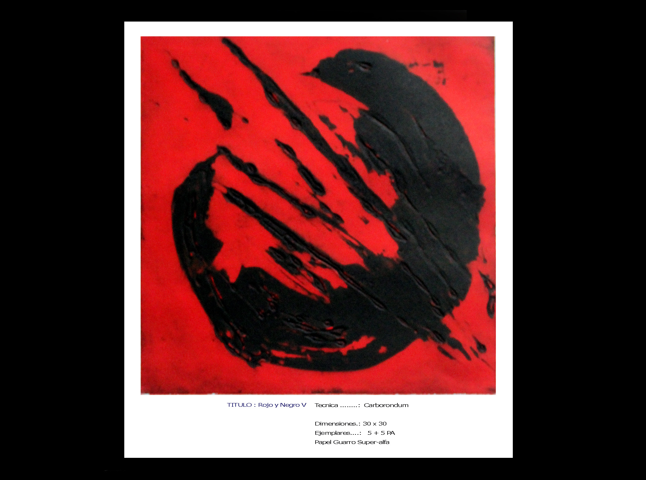 Grabado 17