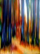 Boreal