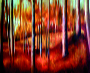 En otoño